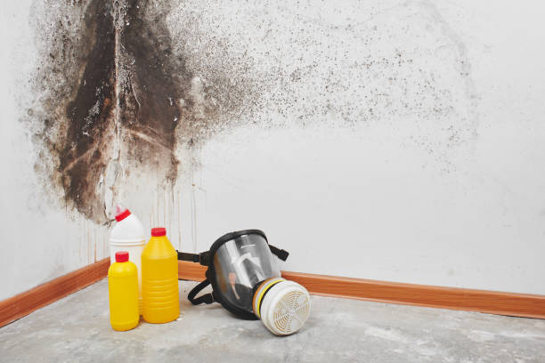 Best Commercial Mold Inspection  in Highland, UT